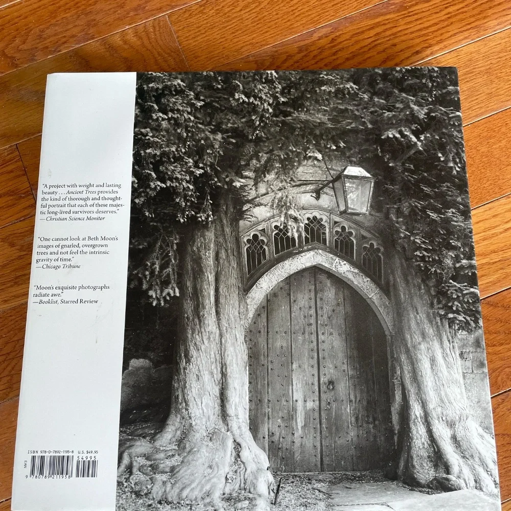 Book Ancient Trees of time by Beth Moon